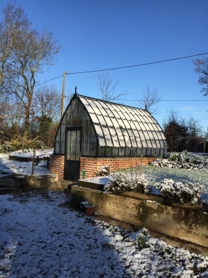 Serre de jardin : une protection durable et polyvalente