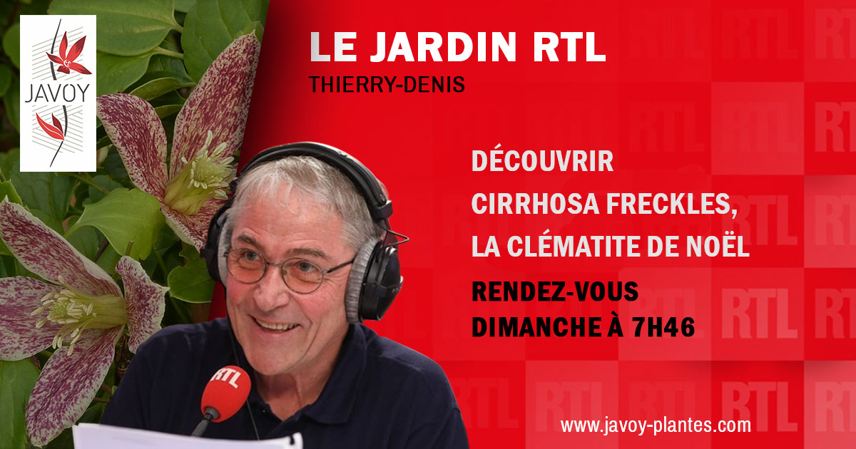 Radio RTL et RMC