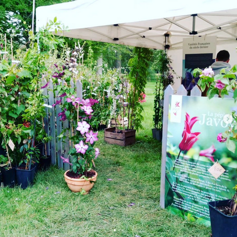 Journées des plantes de Chantilly