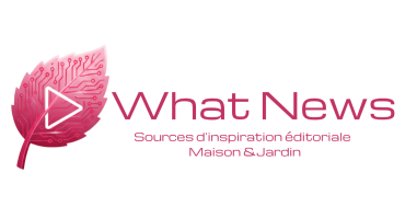 WHAT NEWS - Salle de presse - Amsterdam Communication