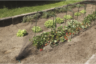 NORTENE - Jardin potager - Salle de presse - Amsterdam Communication