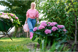 MAGICAL HYDRANGEA - Poteries, jardinières - Salle de presse - Amsterdam Communication