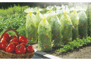 NORTENE - Jardin potager - Salle de presse - Amsterdam Communication