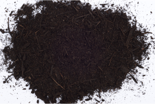 PREMIER TECH - Evènement - Salle de presse - Amsterdam Communication