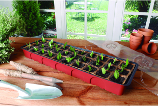 NORTENE - Semences - Salle de presse - Amsterdam Communication