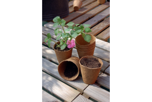 NORTENE - Semences - Salle de presse - Amsterdam Communication