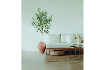 NORTENE - Décoration - Salle de presse - Amsterdam Communication