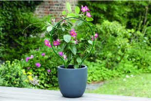 NORTENE - Décoration - Salle de presse - Amsterdam Communication