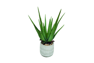 NORTENE - Décoration - Salle de presse - Amsterdam Communication