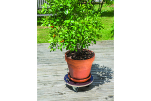 NORTENE - Décoration - Salle de presse - Amsterdam Communication