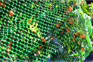 NORTENE - Protection des végétaux - Salle de presse - Amsterdam Communication