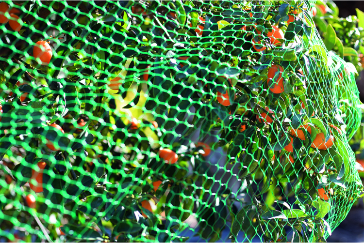 NORTENE - Protection des végétaux - Salle de presse - Amsterdam Communication