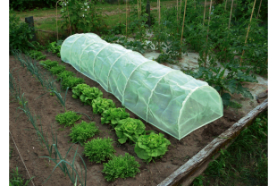 NORTENE - Protection des végétaux - Salle de presse - Amsterdam Communication