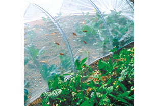 NORTENE - Protection des végétaux - Salle de presse - Amsterdam Communication