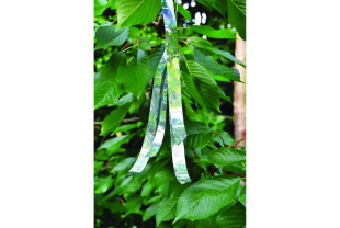 NORTENE - Protection des végétaux - Salle de presse - Amsterdam Communication