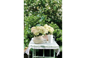 MAGICAL HYDRANGEA - Terrasse et balcon - Salle de presse - Amsterdam Communication