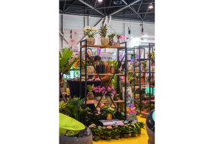 JdC Garden Trends - Végétal - Salle de presse - Amsterdam Communication