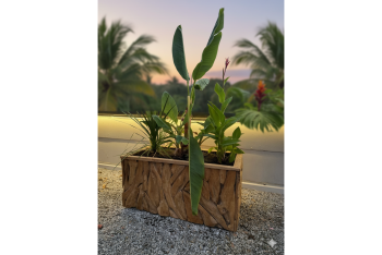 JdC Garden Trends - Décoration du jardin d'agrément - Salle de presse - Amsterdam Communication