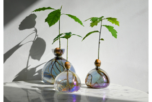 JdC Garden Trends - Forçage des végétaux - Salle de presse - Amsterdam Communication