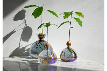 JdC Garden Trends - Forçage des végétaux - Salle de presse - Amsterdam Communication