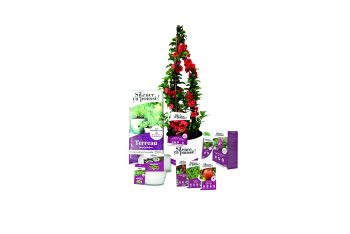 JdC Garden Trends - Plantes - Végétaux - Salle de presse - Amsterdam Communication