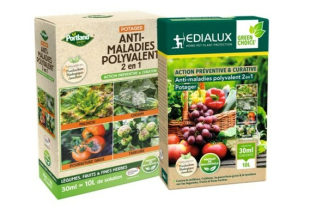 JdC Garden Trends - Protection des végétaux - Salle de presse - Amsterdam Communication