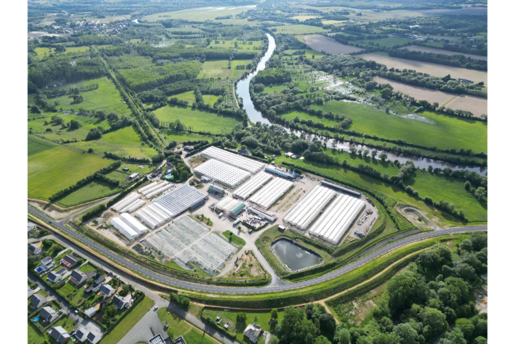 JdC Garden Trends - Horticulture - Salle de presse - Amsterdam Communication