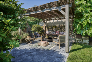 DANIEL MOQUET - Plantes - Végétaux - Salle de presse - Amsterdam Communication