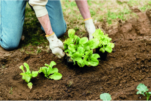 PUBERT - Outillage - Salle de presse - Amsterdam Communication