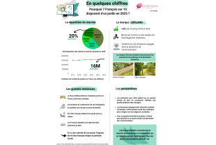 WHAT NEWS - Bordures - Salle de presse - Amsterdam Communication
