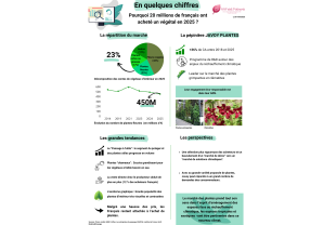 WHAT NEWS - Plantes - Végétaux - Salle de presse - Amsterdam Communication