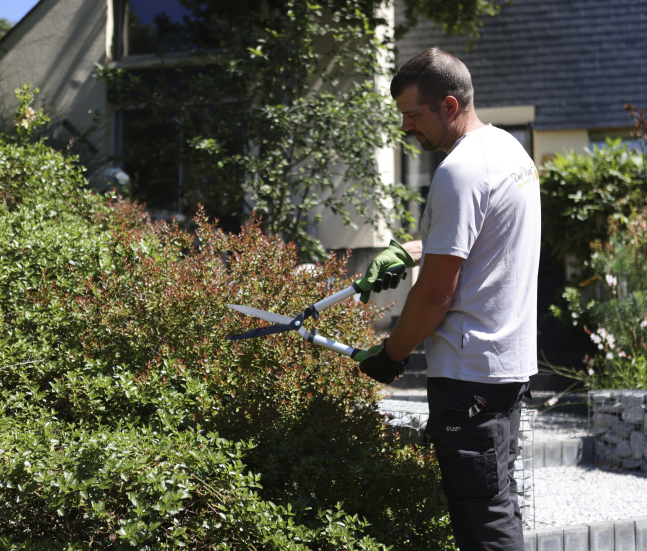 Daniel Moquet signe vos jardins - entretien des espaces verts