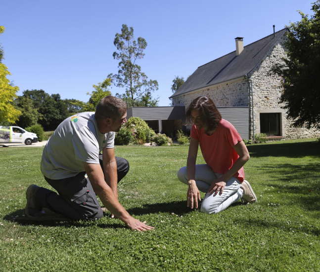 Daniel Moquet signe vos jardin - entretien du gazon