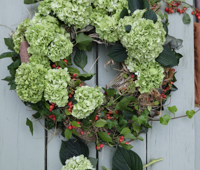 Magical Hydrangea fleurs coupées, couronne noël
