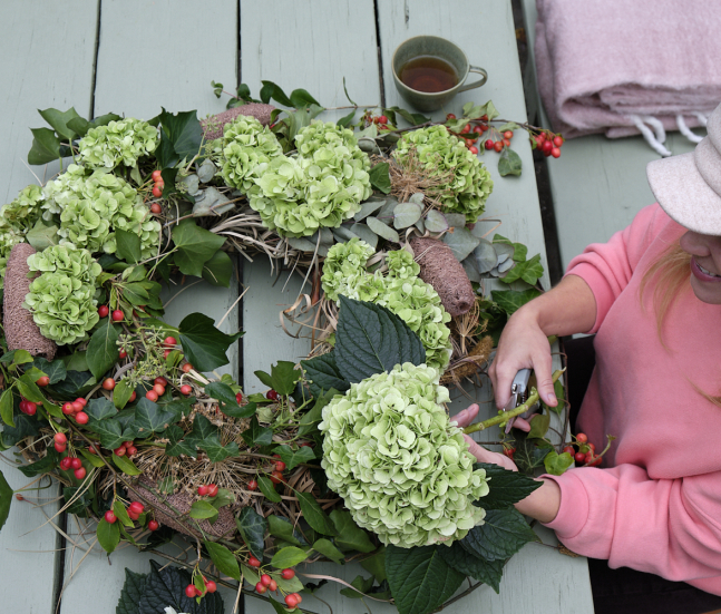 Magical Hydrangea fleurs coupées, réalisation d'une couronne de noël