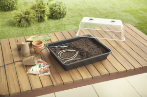 Semis précoces : définition, avantages et limites