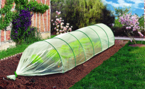 Les plantations sous serre en milieu rural : potentiel et vigilance