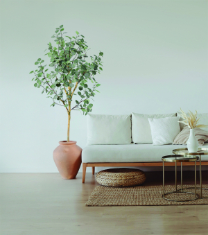 L’impact des plantes d’intérieur sur le stress