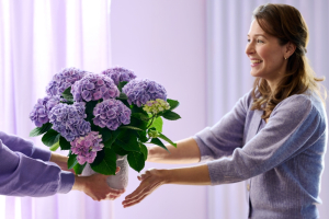 Pourquoi l’hortensia séduit pour la fête des mères ?