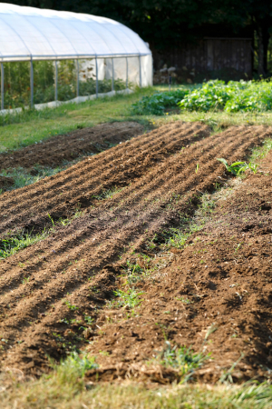 Pourquoi préparer son sol avant les plantations ?