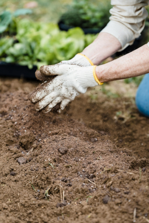 Conseils pour bien préparer son terrain