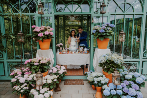 Hortensias : une fleur généreuse et décorative
