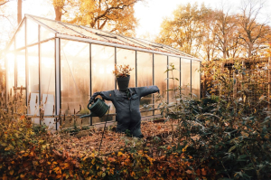 Pourquoi nourrir le potager pendant l’hiver ?