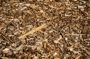 Comment protéger efficacement le potager en hiver ?