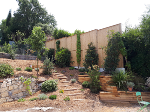Jardin : améliorer l’esthétique et la biodiversité