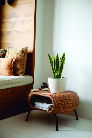 Quels types de plantes d'intérieur artificielles conviennent le mieux pour un salon moderne ?