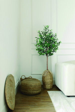 Quels sont les avantages des plantes synthétiques pour la décoration ?