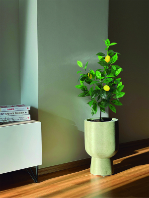 Idées de décoration avec des fausses plantes pour un petit appartement