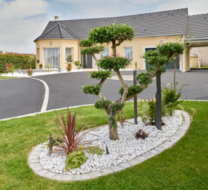 Quelles plantes conviennent le mieux pour un jardin minéral et végétal ?
