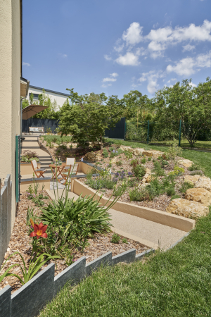 Quelles sont les meilleures plantes pour un jardin sans eau ?